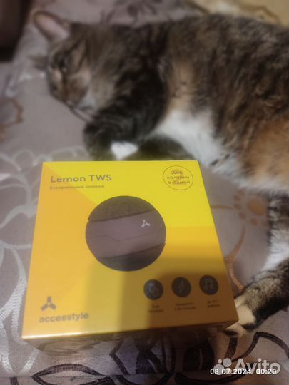 Портативная Bluetooth колонка Accesstyle Lemon TWS
