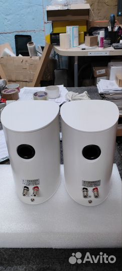 Полочная акустика Piega Ace 30 white lacquer (арт