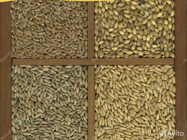 Продукты обработки зерна