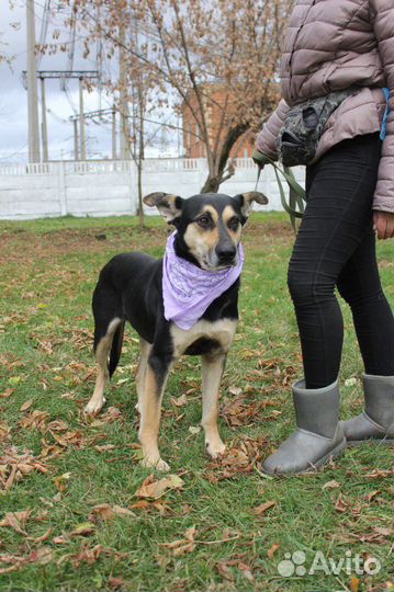 Мэй ищет дом и лучшую семью