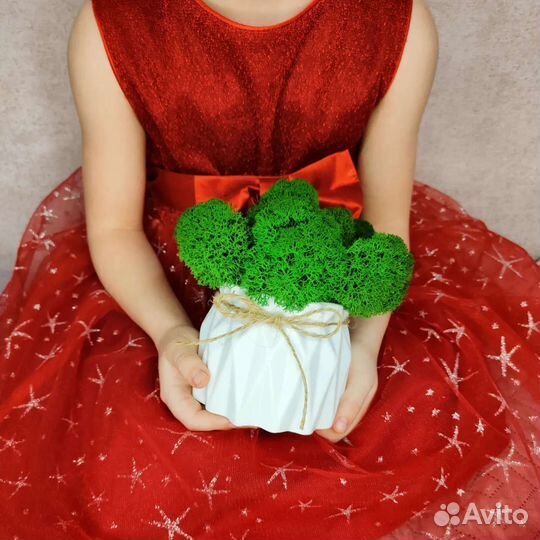 Горшочки со Мхом