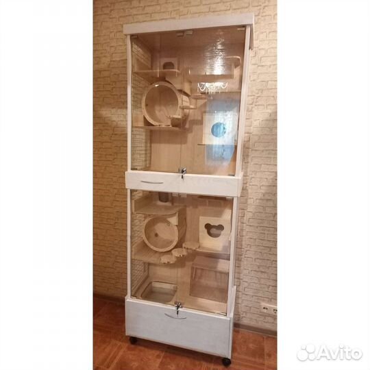 Клетки - витрины