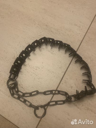 Жесткий ошейник