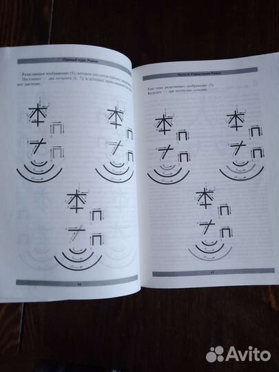 Полный курс Рейки Мастер Нахаро