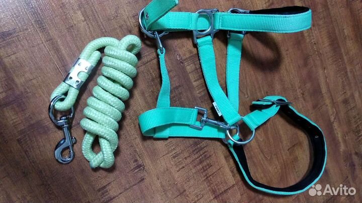 Недоуздок+ чомбур