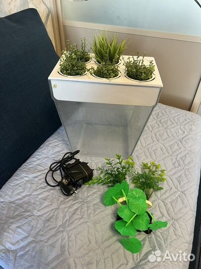 Аквариум, акваферма, фильтр, растения