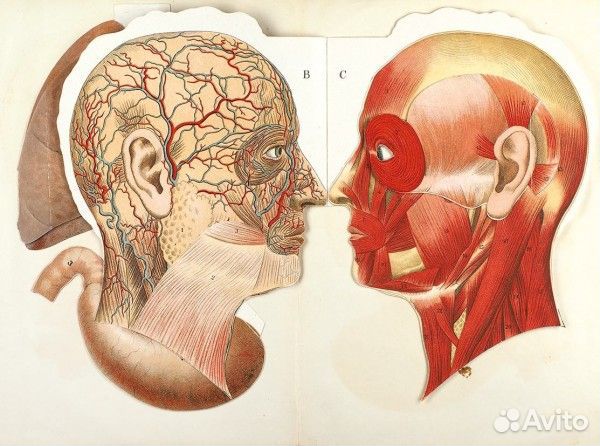 Старинные книги по Медицине и Психологии