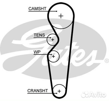 Зубчатый ремень привода грм powergrip