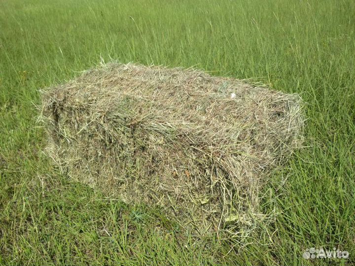 Сено в тюках