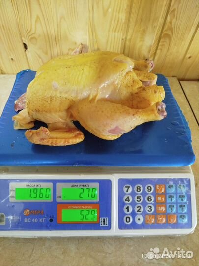 Мясо домашнего бройлера