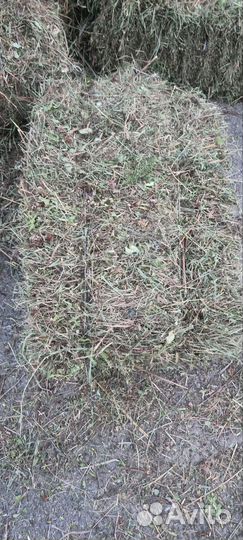 Сено в брикетах