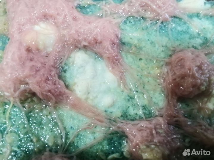 Нематода. Гриндаль. Аулофорус Трубочник