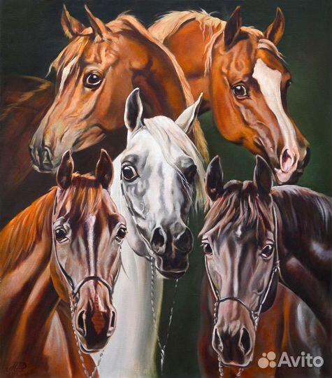 Картины с лошадьми на холсте,в графике