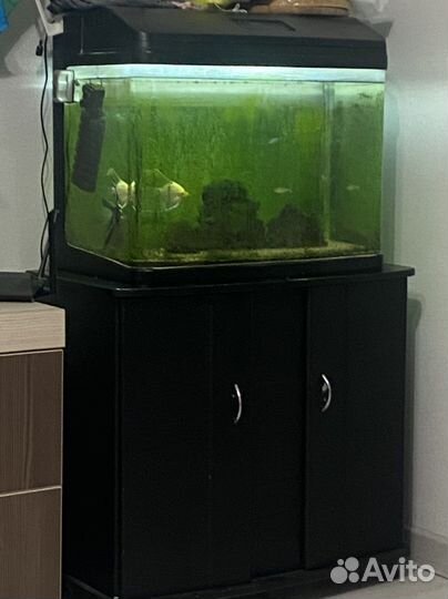 Аквариум