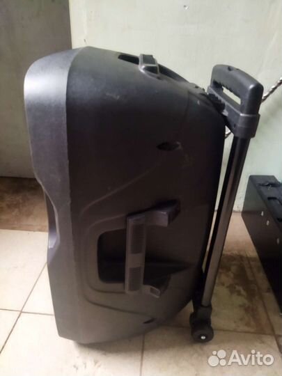 Акустическая система есо voyage XII