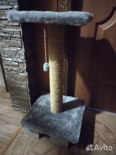 Когтеточка