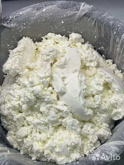 Творог оптом