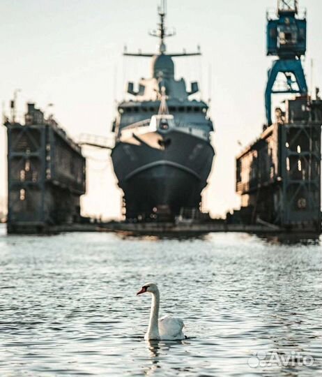 Экскурсии.Гид.Куршская коса.Калининград