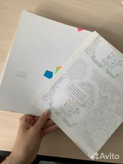 История волейбольного клуба 