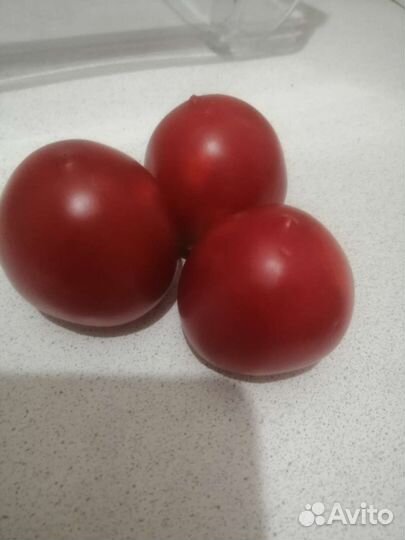 Помидоры домашние