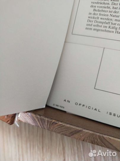 Певчие птицы Марки