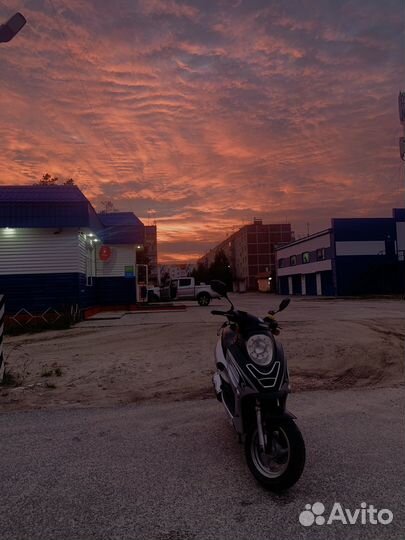 Racer Sagita