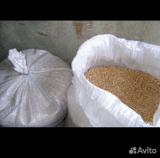 Пшеница, ячмень, овес