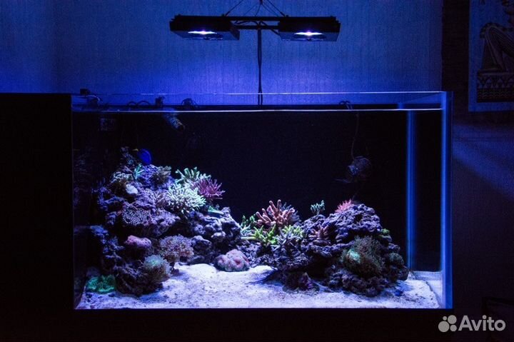 Морской аквариум 500 литров