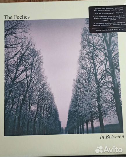 The Feelies InBetween