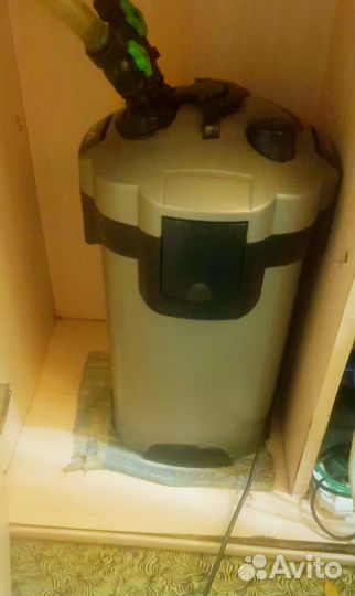 Акватеррариум с черепахами