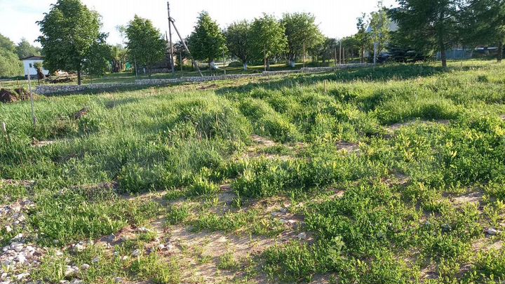 Участок 10 сот. (ИЖС)
