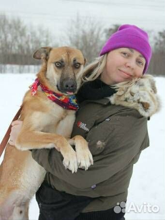 Мелкого Бивиса сдали в приют