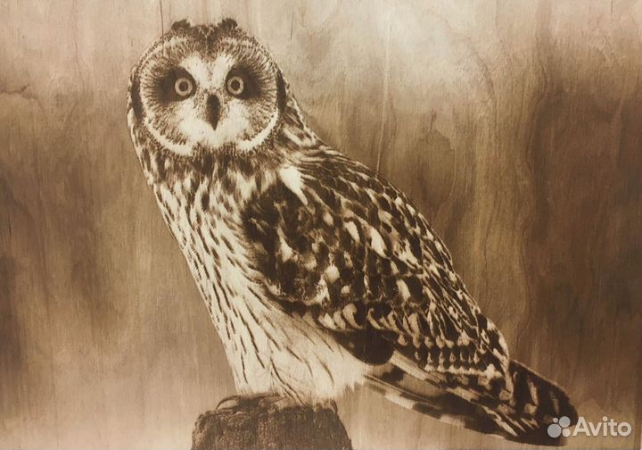 Пиропринтер с полем 90*42