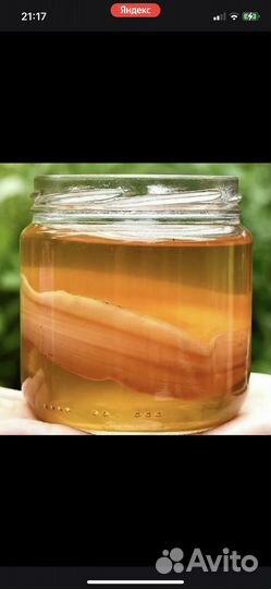 Комнатные растения(лечебное)