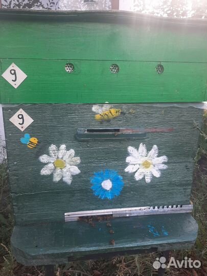 Мед с доставкой