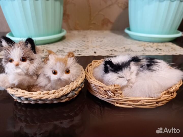 Сувинирные котята