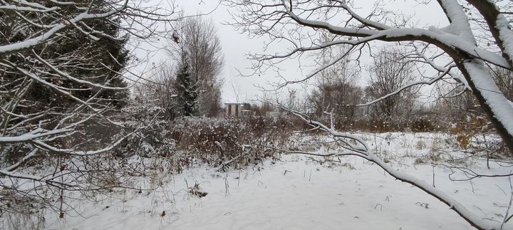 Участок 10,6 сот. (ИЖС)