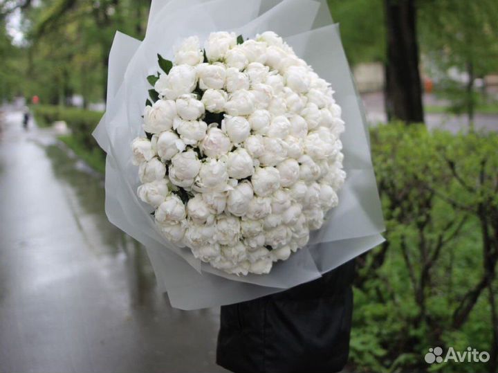 Пионы 11шт 15шт 51шт 101шт/ розы/ цветы