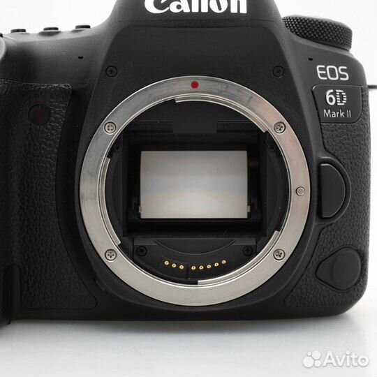 Canon EOS 6D Mark II