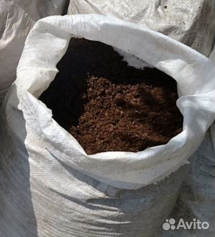 Компост для комнатных растений. Конский навоз удобрение. Удобрение органическое. Объявление о продаже конского перегноя. Конский перегной.