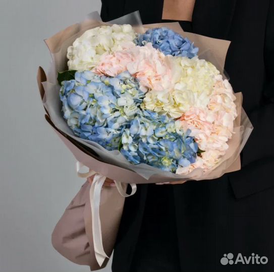 Гортензии цветы доставка