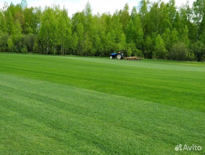 Рулонный газон 