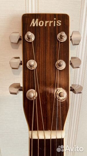 Акустическая гитара Morris w-30 Made in Japan