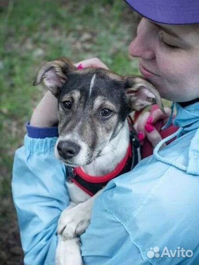 Майкл живет в приюте