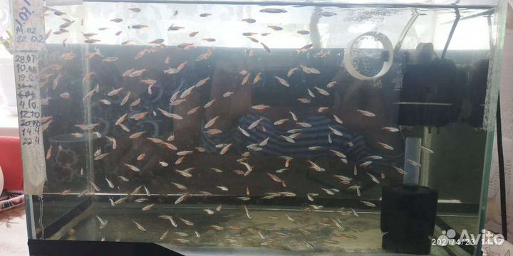 Украшение для аквариума