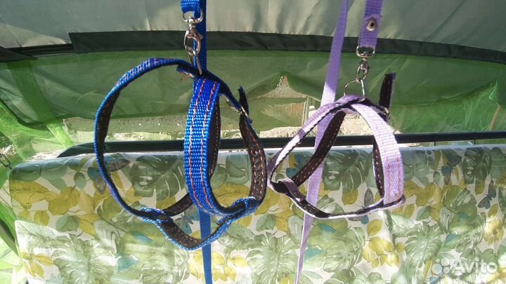 Поводок для маленьких собак