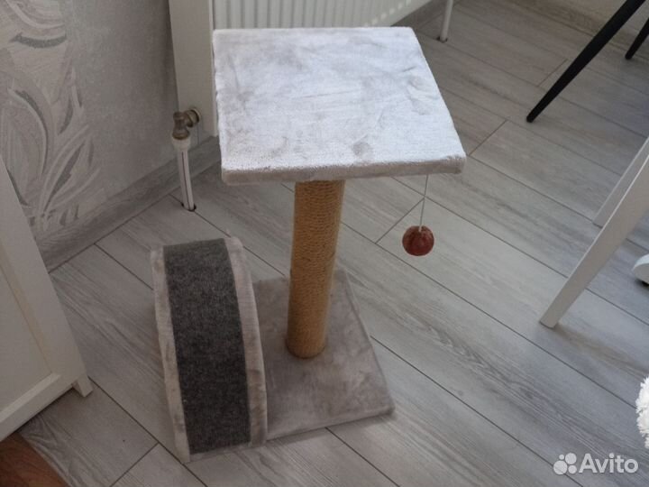 Когтеточка