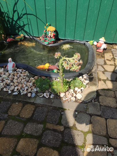 Прудик для рыбок