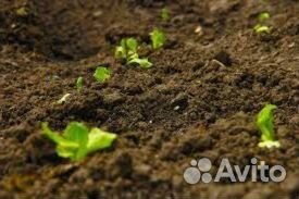 Трехкомпонентный грунт