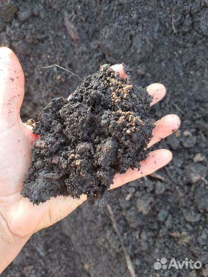 Земля для рассады